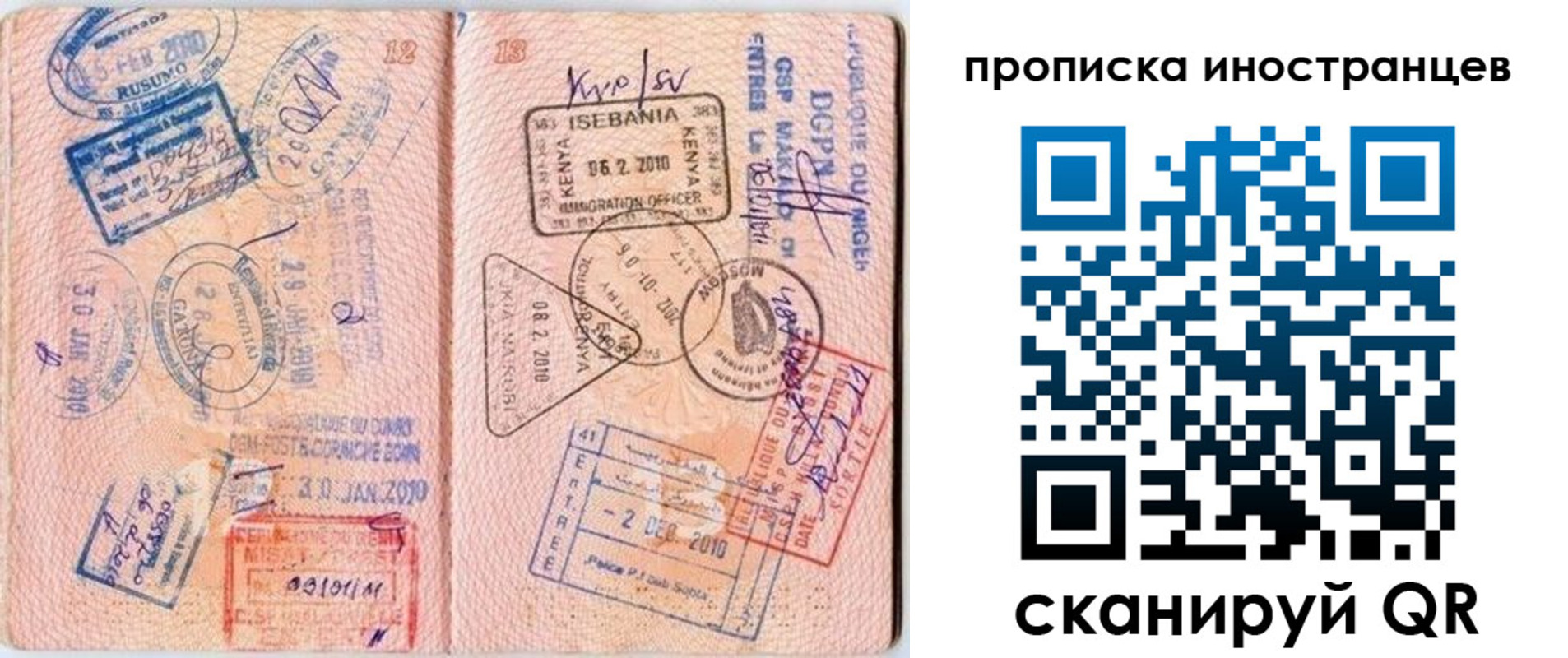 прописка поиск в Чите